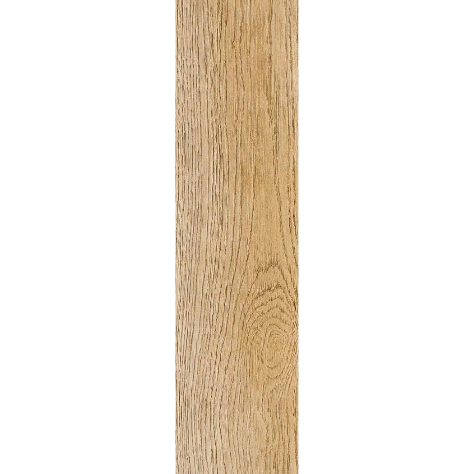  Golden Oak 